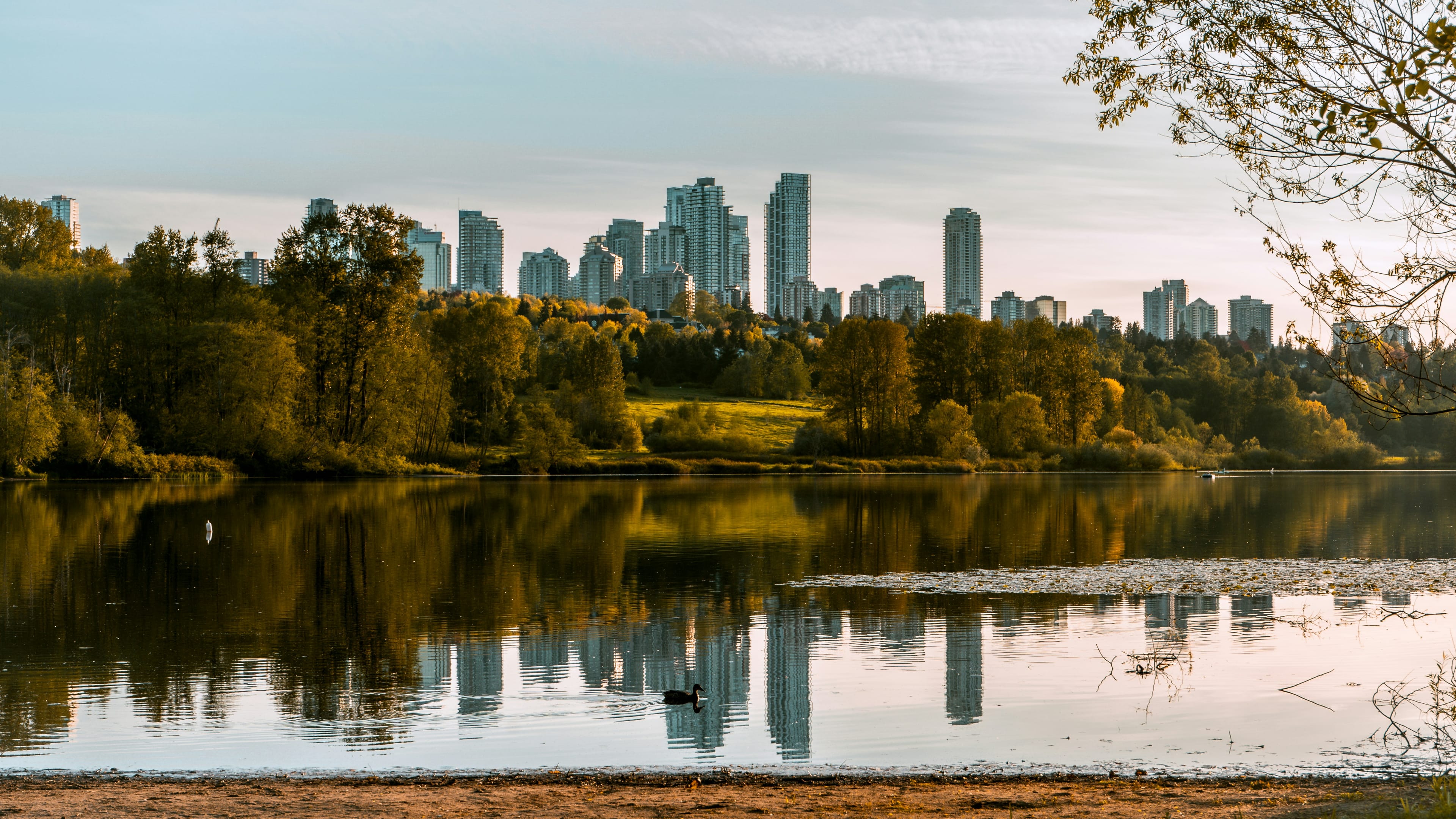 Burnaby camps, classes and childcare