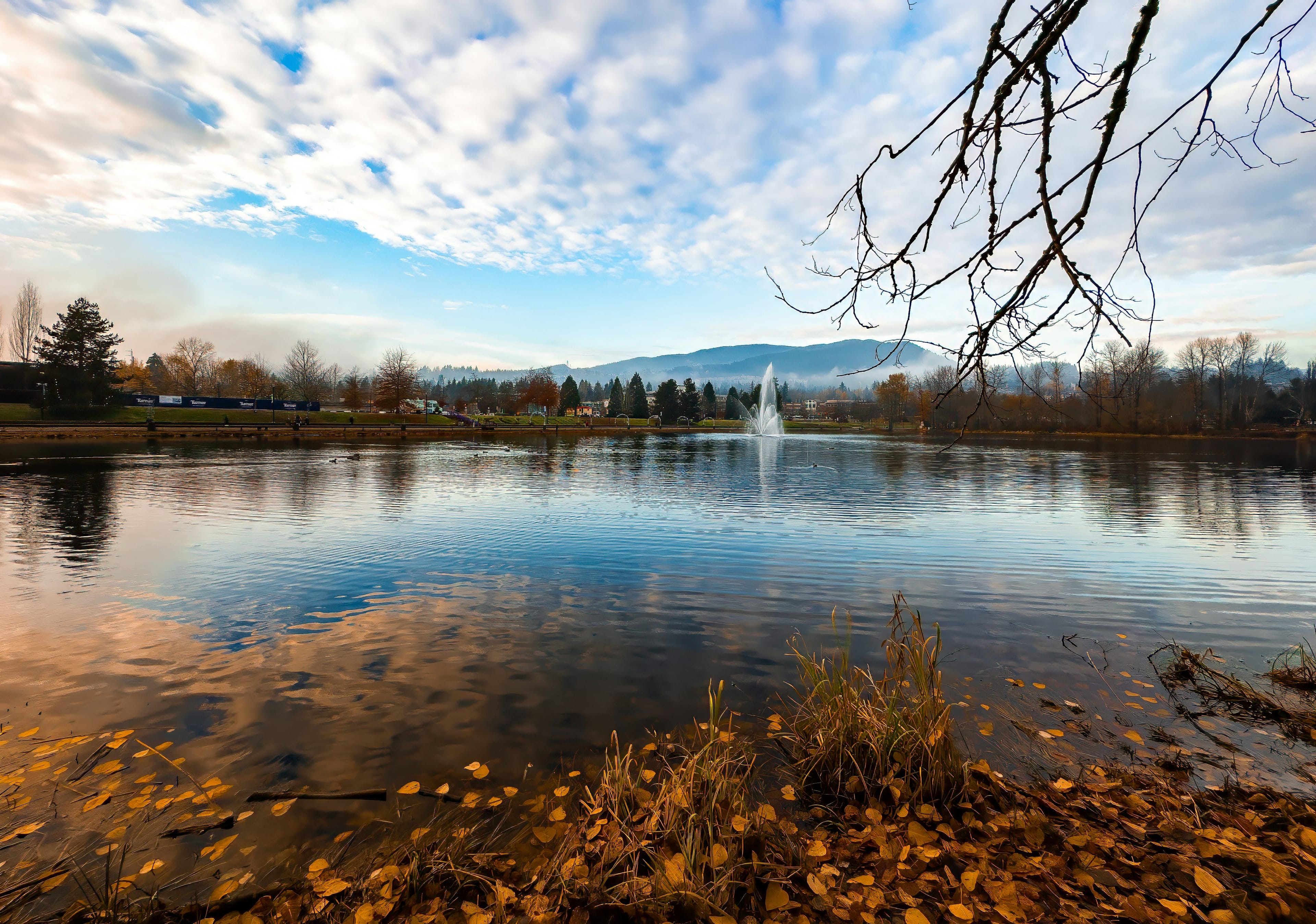 Coquitlam camps, classes and childcare