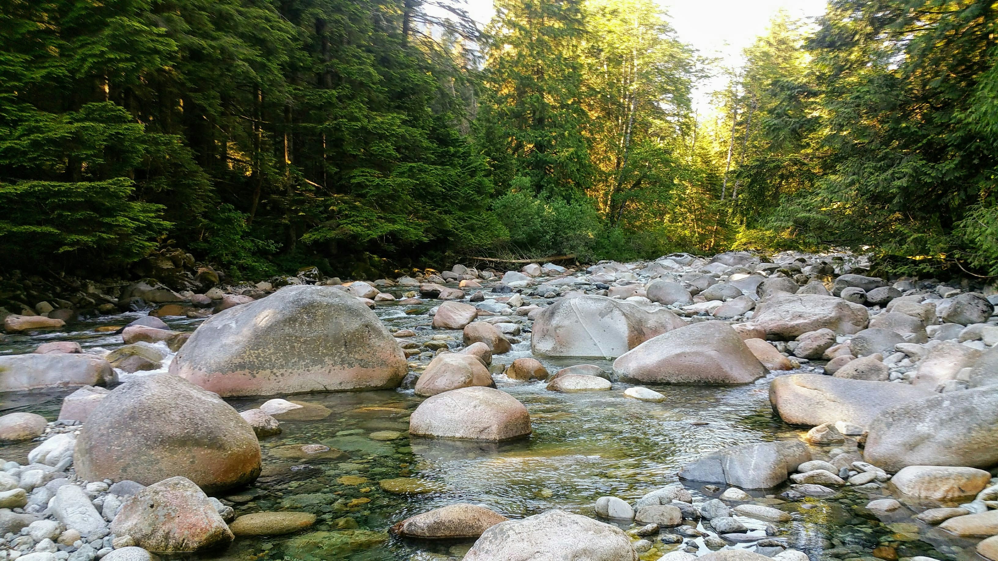 North Vancouver camps, classes and childcare